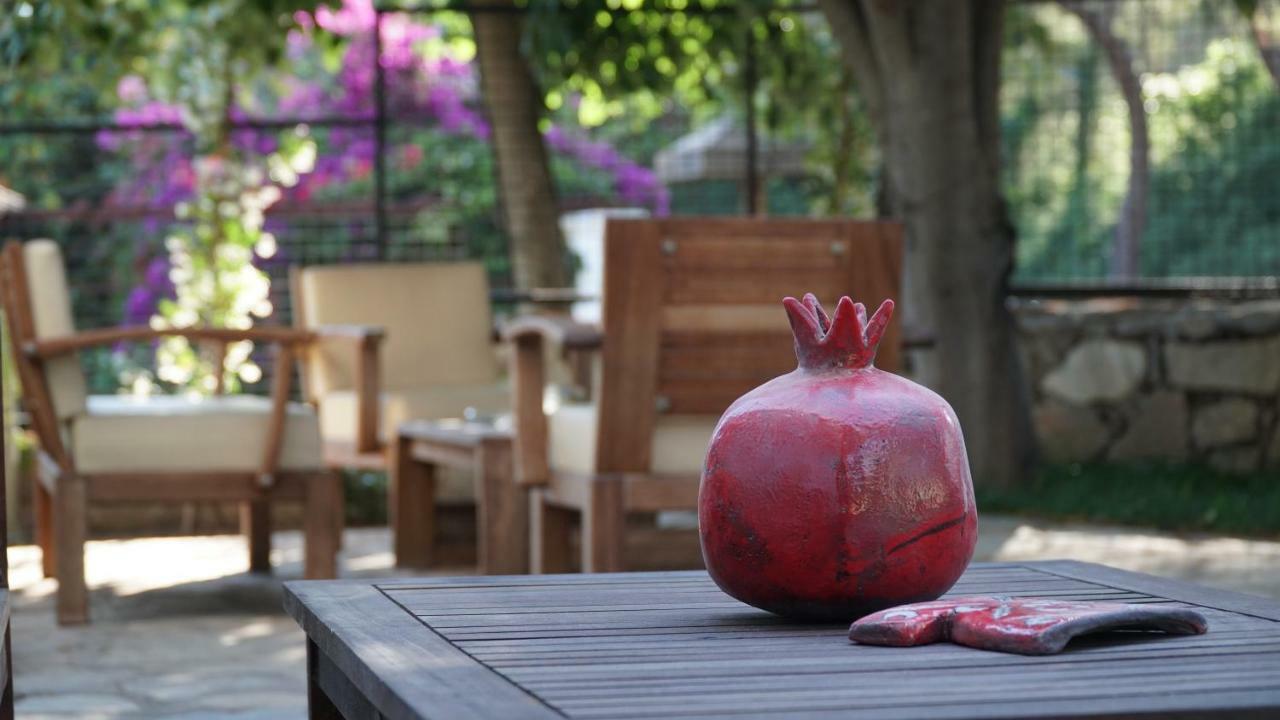Totelya Hotel Akyaka (Mugla) Exterior foto